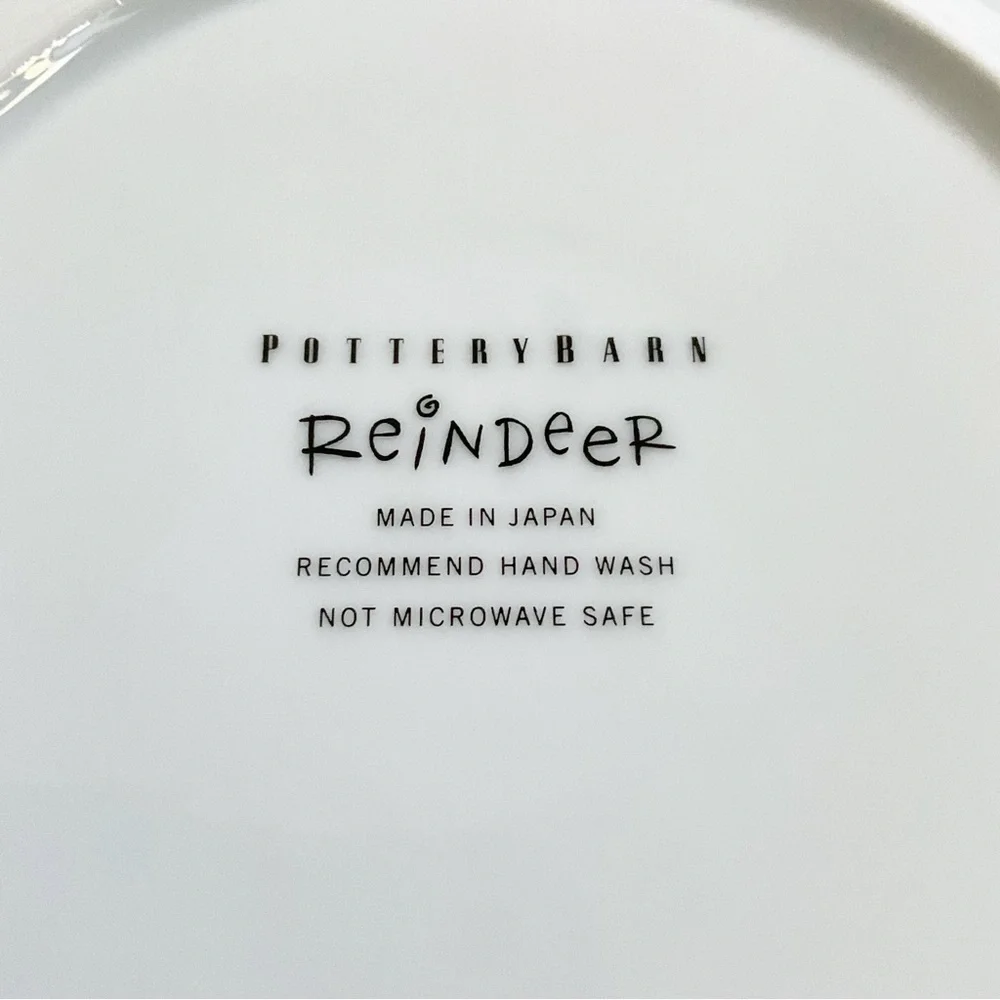 Pottery Barn Comet Reindeer Salad Plate 8.5” Japan Christmas Deer Silver Rim